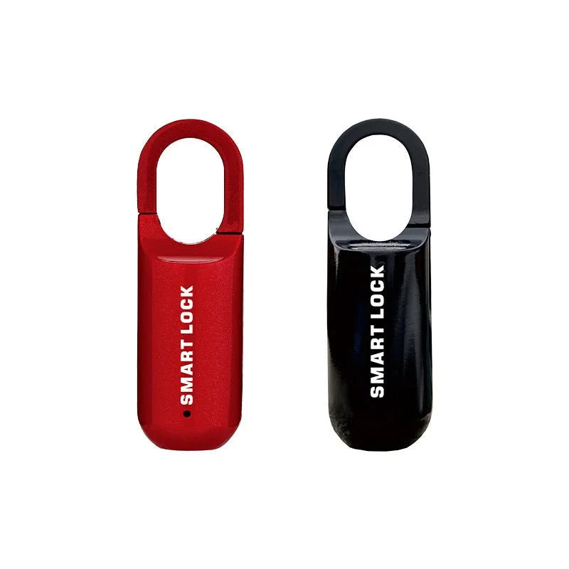 Fingerprint Smart Locker Lock