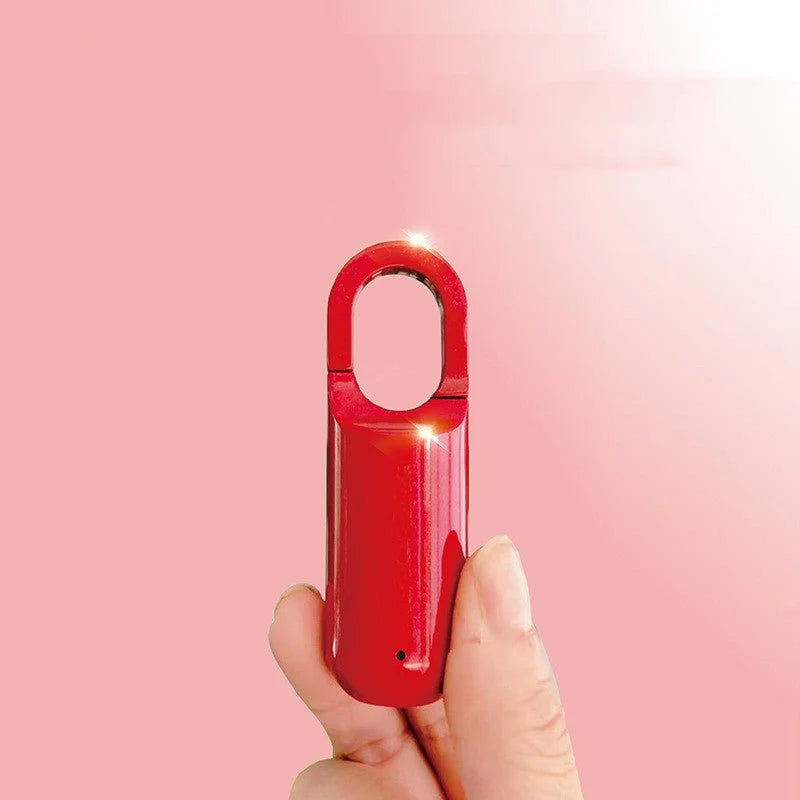 Fingerprint Smart Locker Lock