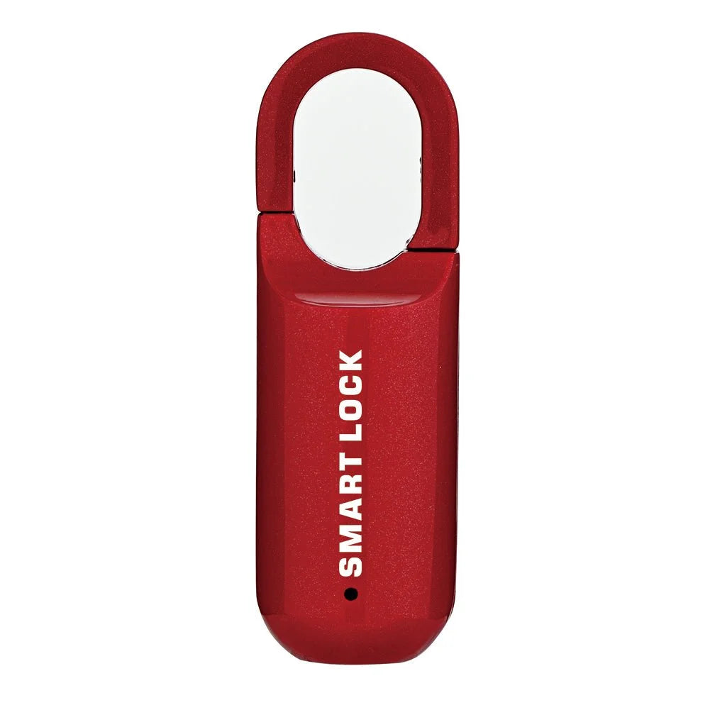 Fingerprint Smart Locker Lock