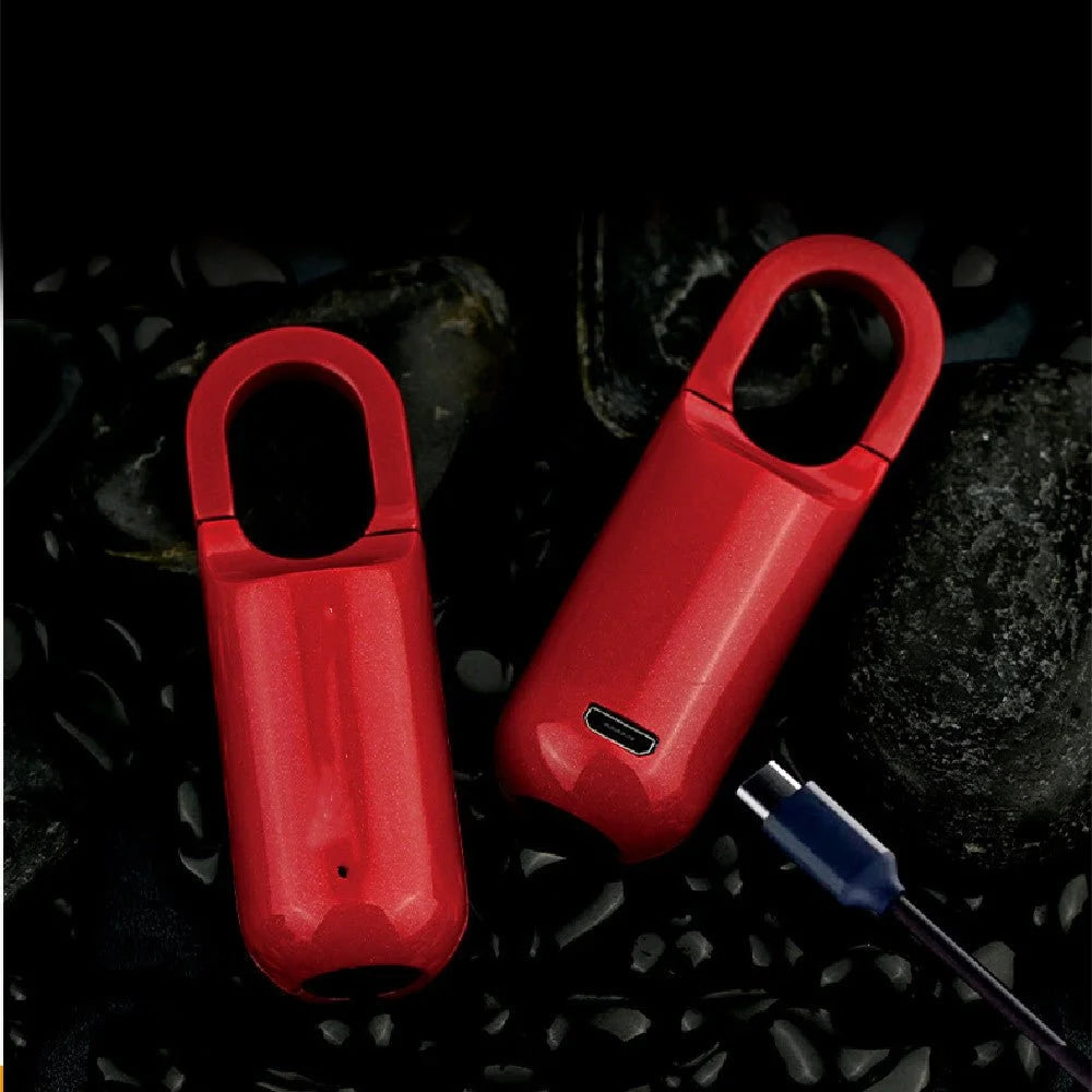 Fingerprint Smart Locker Lock