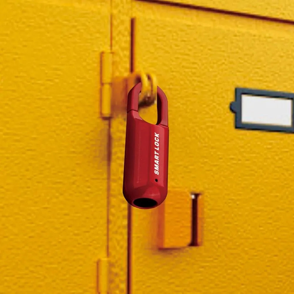 Fingerprint Smart Locker Lock