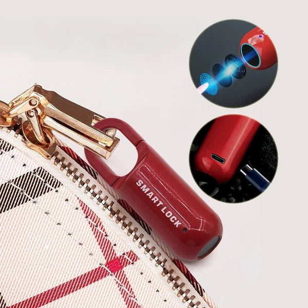 Fingerprint Smart Locker Lock